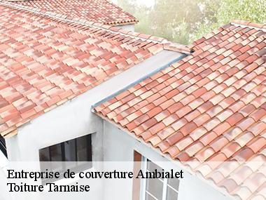 Pourquoi choisir l'entreprise Toiture Tarnaise pour vos travaux de toiture à Ambialet dans le 81430