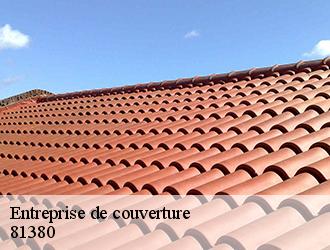 Pourquoi choisir l'entreprise Toiture Tarnaise pour vos travaux de toiture à Lescure D Albigeois dans le 81380