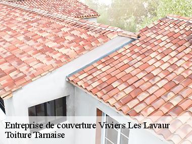 Toiture Tarnaise: votre couvreur professionnel pour tous vos travaux de toiture à Viviers Les Lavaur et ses environs