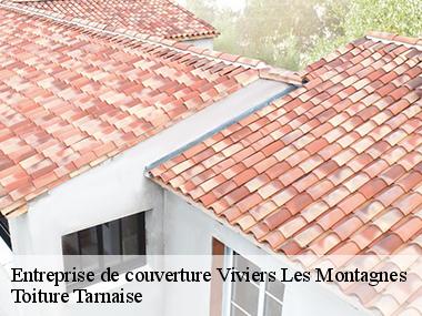 Toiture Tarnaise: votre couvreur professionnel pour tous vos travaux de toiture à Viviers Les Montagnes et ses environs