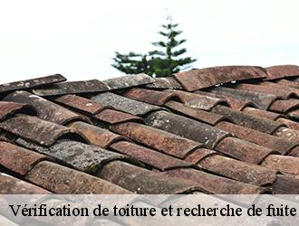 Effectuer la recherche d'une fuite de toiture avec les experts de l'entreprise Toiture Tarnaise dans la ville de Aiguefonde