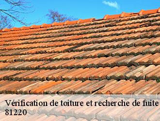 Vérification de toiture