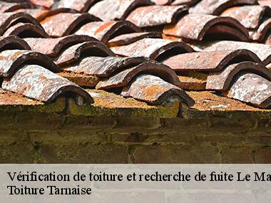 Effectuer la recherche d'une fuite de toiture avec les experts de l'entreprise Toiture Tarnaise dans la ville de Le Masnau Massuguies