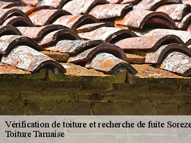 Toiture Tarnaise: une entreprise de couverture spécialisée en travaux de fuite de toiture à Soreze et ses environs