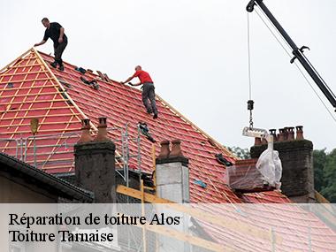 Couvreur professionnel en dépannage de toiture à Alos