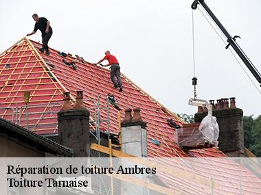 Toiture Tarnaise: un couvreur professionnel pour réparer votre toiture à Ambres dans le 81500