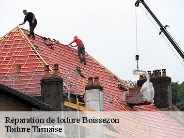 Toiture Tarnaise: un couvreur professionnel pour réparer votre toiture à Boissezon dans le 81490