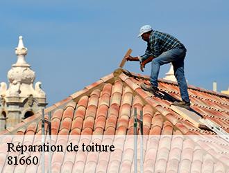 La remise en état de votre toiture avec l'entreprise Toiture Tarnaise à Bout Du Pont De Larn et ses environs dans le 81660