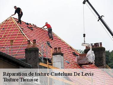 Une équipe de couvreurs qualifiés pour la réparation urgente de votre toiture à Castelnau De Levis dans le 81150
