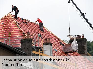 La remise en état de votre toiture avec l'entreprise Toiture Tarnaise à Cordes Sur Ciel et ses environs dans le 81170