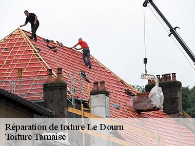 Une équipe de couvreurs qualifiés pour la réparation urgente de votre toiture à Le Dourn dans le 81340