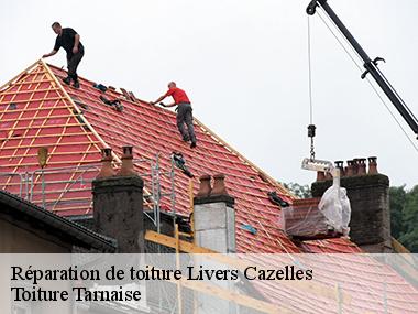 Des techniciens hautement qualifiés pour assurer la réparation de votre couverture à Livers Cazelles et ses environs