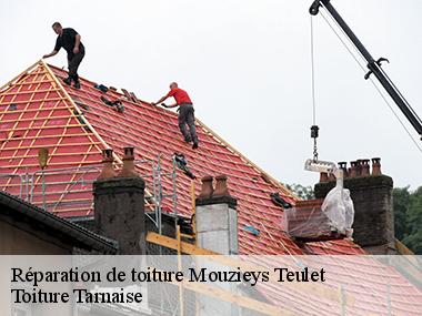 Le service de Toiture Tarnaise pour le dépannage de votre toiture dans toute la ville de Mouzieys Teulet