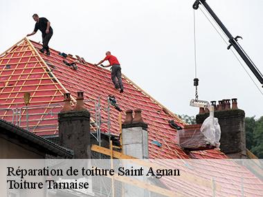 Couvreur professionnel en dépannage de toiture à Saint Agnan