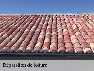 Réfection d’isolation de couverture