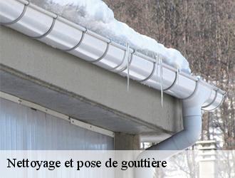 Un service de nettoyage de gouttière à Aguts et ses environs