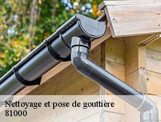  Des techniciens couvreurs aguerris pour l’installation de votre gouttière à Albi dans le 81000