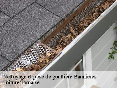 Toiture Tarnaise: une entreprise de pose et nettoyage de gouttières à Bannieres dans le 81500