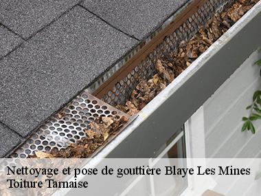 Faites votre demande de devis de pose et nettoyage de gouttière chez Toiture Tarnaise