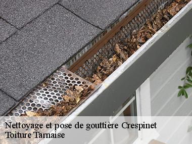 Toiture Tarnaise: une entreprise de pose et nettoyage de gouttières à Crespinet dans le 81350