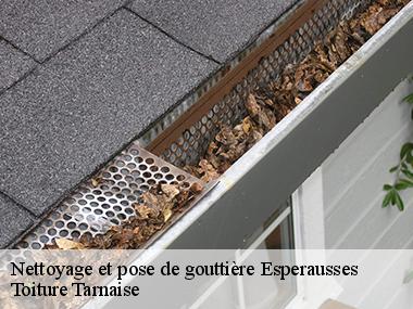 Toiture Tarnaise: une entreprise de pose et nettoyage de gouttières à Esperausses dans le 81260