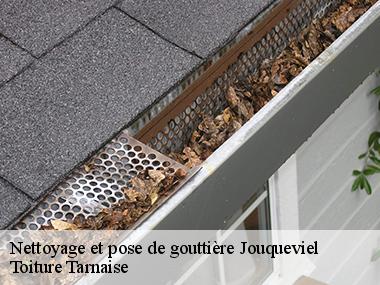 Toiture Tarnaise : une entreprise professionnelle en nettoyage et pose de gouttières à Jouqueviel et ses environs