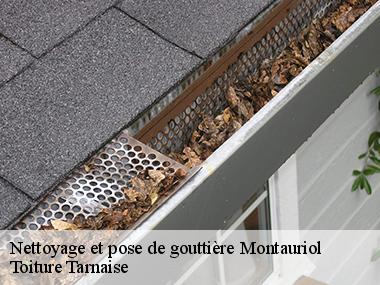 Quel type de gouttière choisir pour sa toiture ?