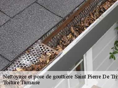 Toiture Tarnaise: une entreprise de pose et nettoyage de gouttières à Saint Pierre De Trivisy dans le 81330