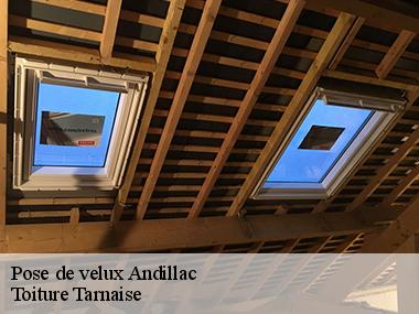 Trouver une entreprise de pose de velux pas chère dans toute la ville de Andillac