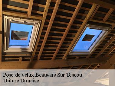 Assurez vos travaux de pose de velux avec l'entreprise Toiture Tarnaise