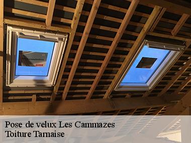 Devis de pose et dépannage de velux 