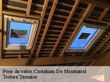 Quel est le tarif d'une pose de velux à Castelnau De Montmiral dans le 81140?