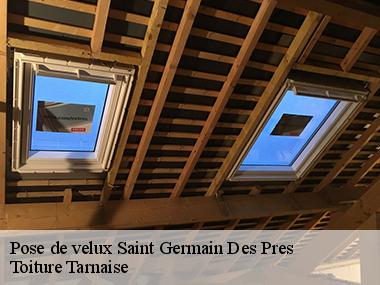 Entreprise de pose de fenêtre de toit à Saint Germain Des Pres 81700
