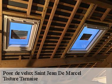 Toiture Tarnaise: un expert en pose de velux à Saint Jean De Marcel et ses environs