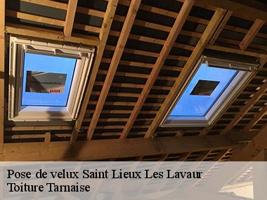 Remplacer vos velux avec les couvreurs professionnels de l'entreprise Toiture Tarnaise