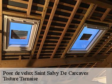 Trouver une entreprise de pose de velux pas chère dans toute la ville de Saint Salvy De Carcaves