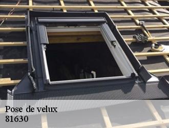 Pose de velux