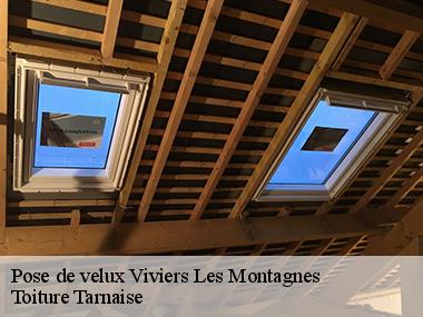 Confier la réparation de votre velux à un expert dans la ville de Viviers Les Montagnes