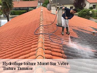 Comment nettoyer les tuiles et les ardoises à Murat Sur Vebre dans le 81320?