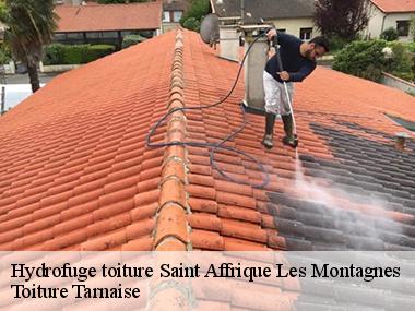 Le démoussage de la toiture d'une habitation dans la ville de Saint Affrique Les Montagnes