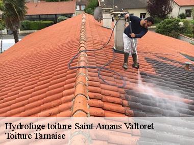 Le démoussage de la toiture d'une habitation dans la ville de Saint Amans Valtoret