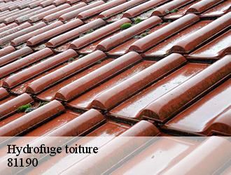 Société fiable en hydrofuge de toiture située à Saint Christophe