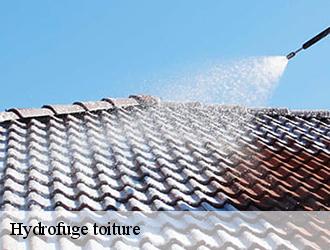Le nettoyage de la toiture : une spécialité de Toiture Tarnaise