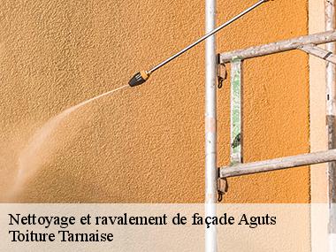 Le tarif des travaux de ravalement et peinture de murs extérieurs à Aguts