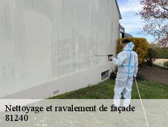 Des services de qualité et aux normes pour vos travaux de ravalement et peinture mur extérieur à Albine et ses environs