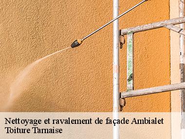 Une équipe d'artisans compétents pour vos travaux de ravalement à Ambialet