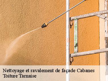 Les raisons de solliciter le service de Toiture Tarnaise pour faire le ravalement des murs extérieurs à Cabanes dans le 81500