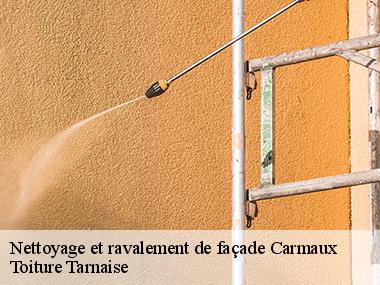 Obtenir un devis gratuit pour le ravalement et peinture des murs extérieurs avec l'entreprise Toiture Tarnaise