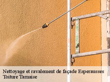 Qui peut prendre en main les opérations de ravalement de murs extérieurs ?