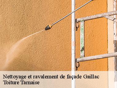 Une équipe d'artisans compétents pour vos travaux de ravalement à Gaillac